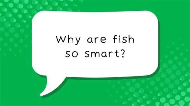【How-to】Why are fish so smart