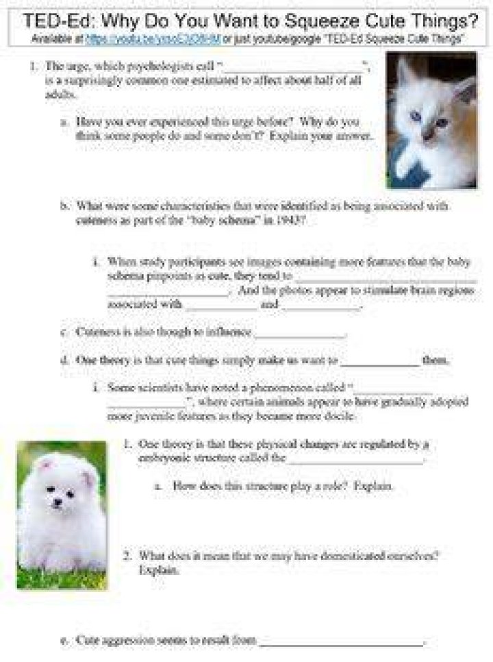 【How-to】Why do we want to squeeze cute things