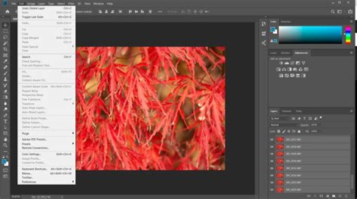 【How-to】Why is align greyed out photoshop
