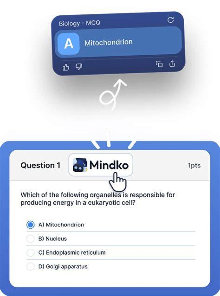 How will you check if your solution is correct?