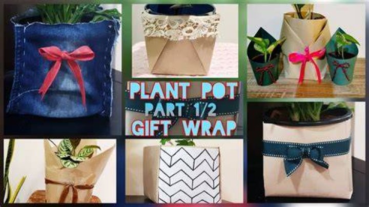 Is a potted plant a good gift?