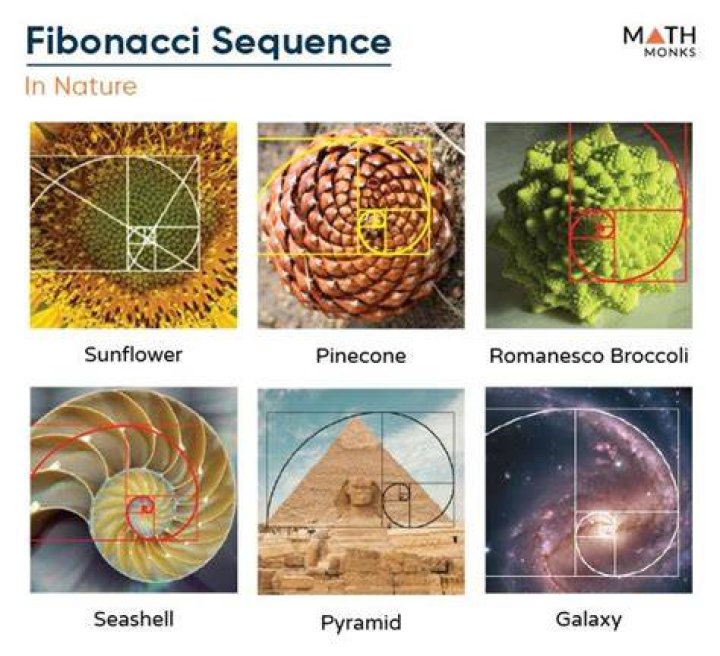 Is Fibonacci series a progression?