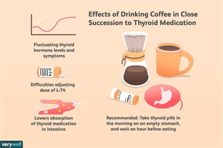 Is it OK to drink coffee with levothyroxine?