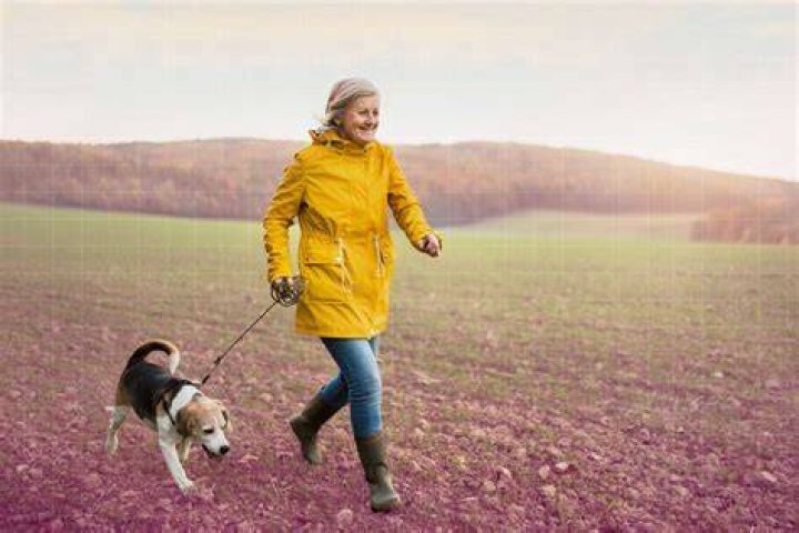 Is it OK to walk my dog once a day?
