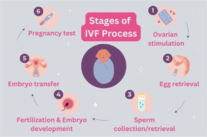 Is IVF free in Germany?