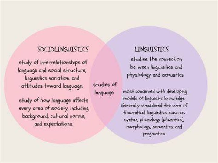 Is Linguistics and language same?