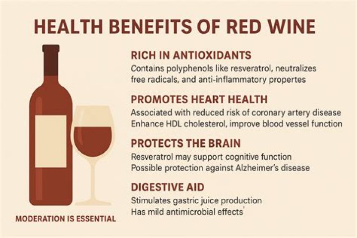 Is red wine good for seniors?