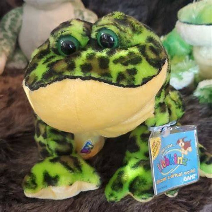 Is the frog Webkinz retired?