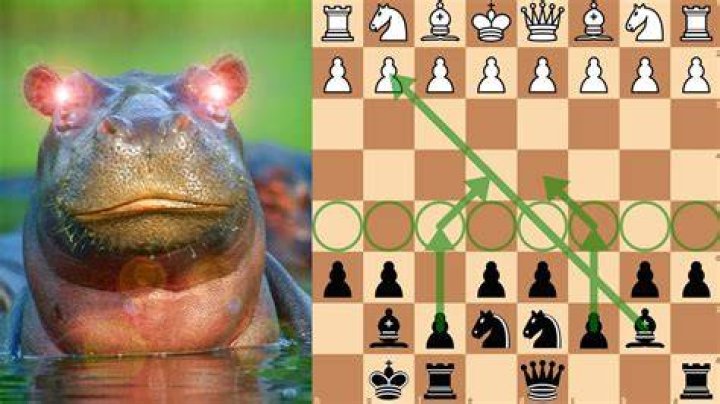 Is the hippo a good chess opening?