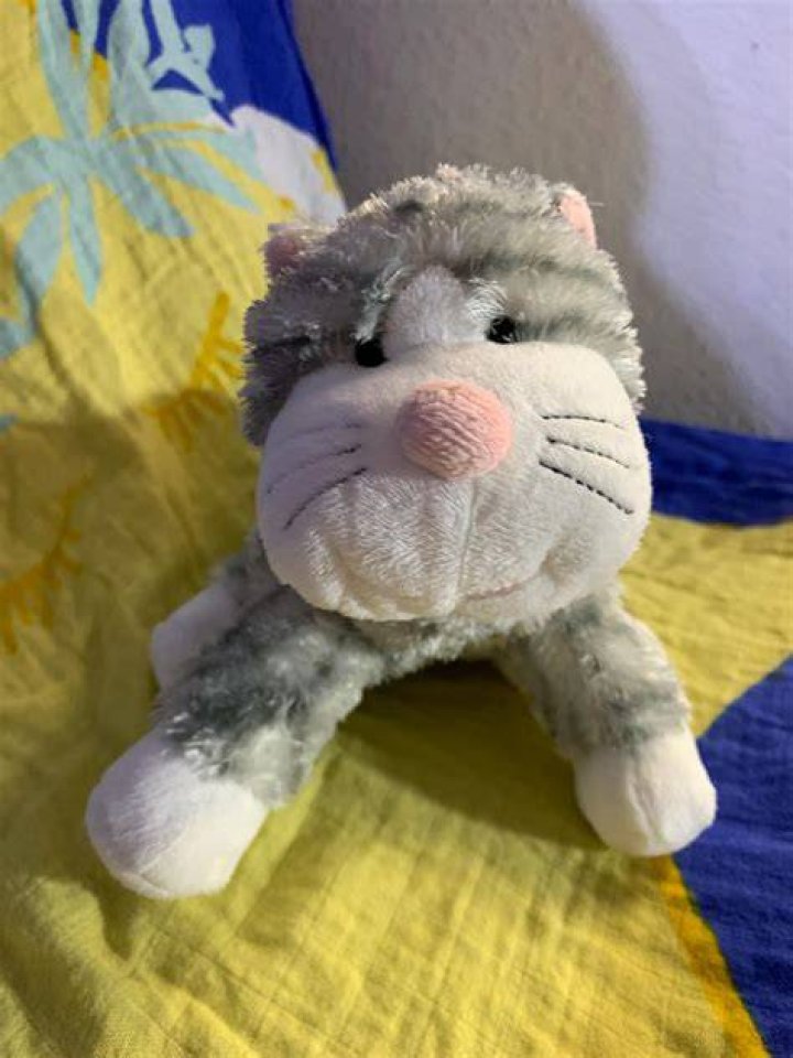 Is there a cheeky Cat in Webkinz World?