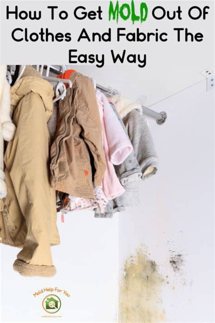 Should you throw out moldy clothes?