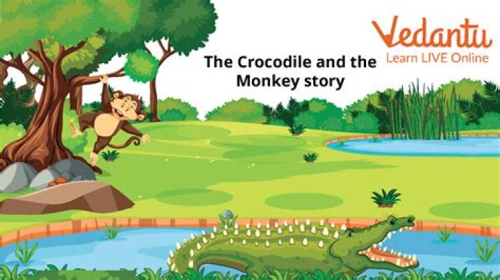 Was crocodile a true friend of the monkey?