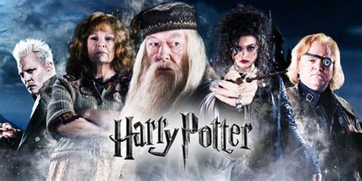 Was Harry Potter a powerful wizard?