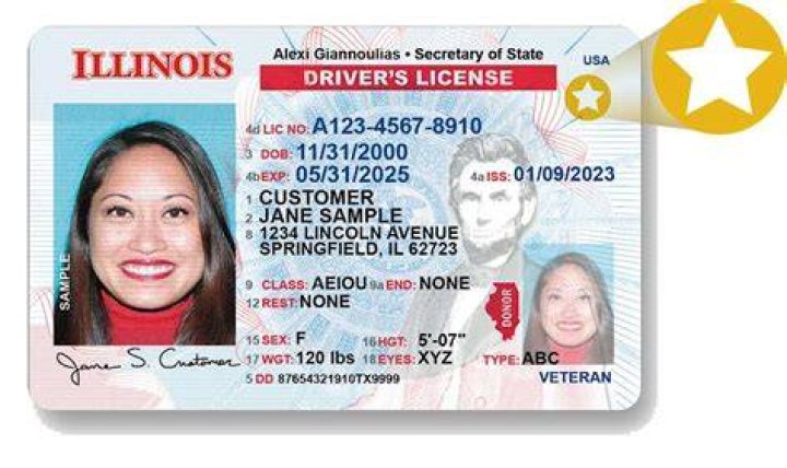 What 3 items does a driver need when driving?