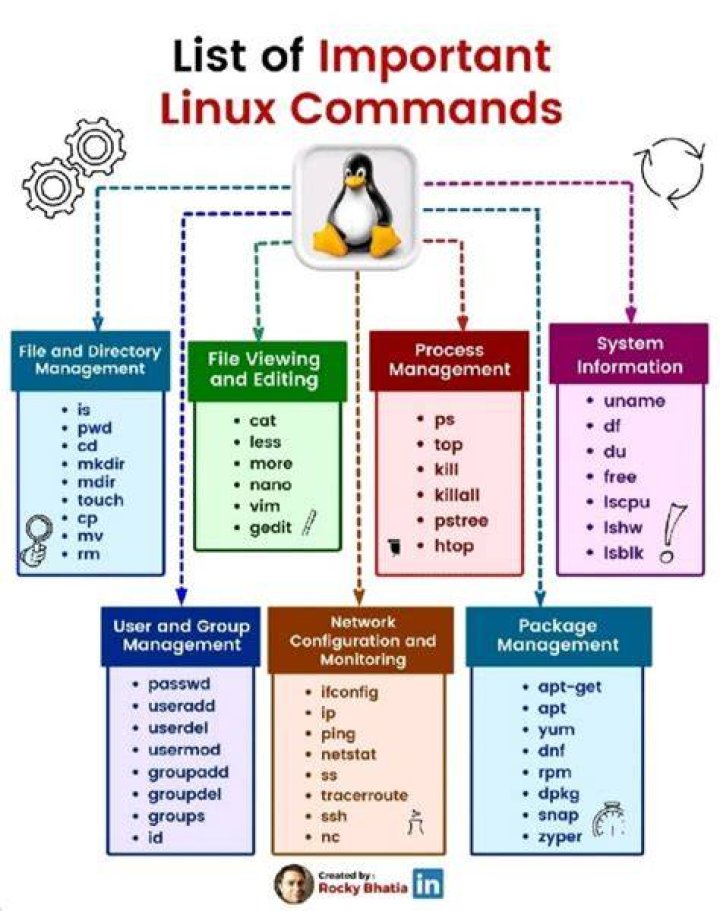 What are 5 Linux commands?