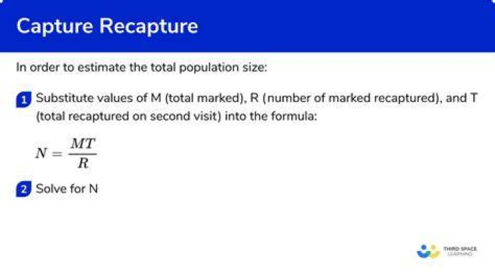 What are capture-recapture methods?