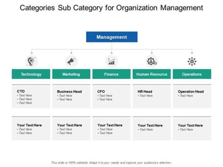 What are categories and sub categories?
