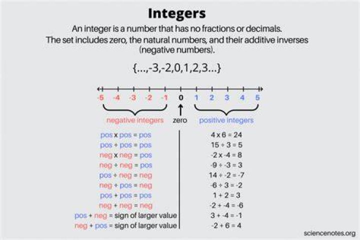 What are examples of integers?