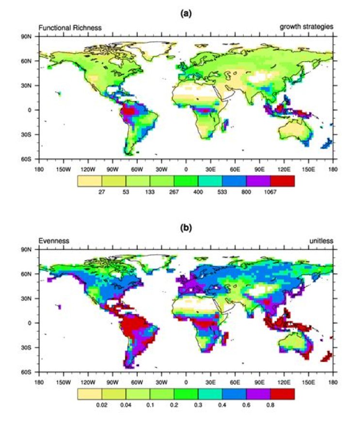 What are geographic patterns and trends?