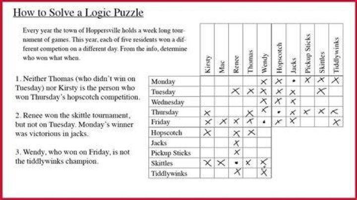 What are logic puzzles called?