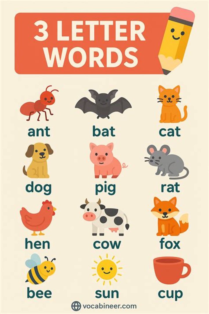 What are some 3 letter words?