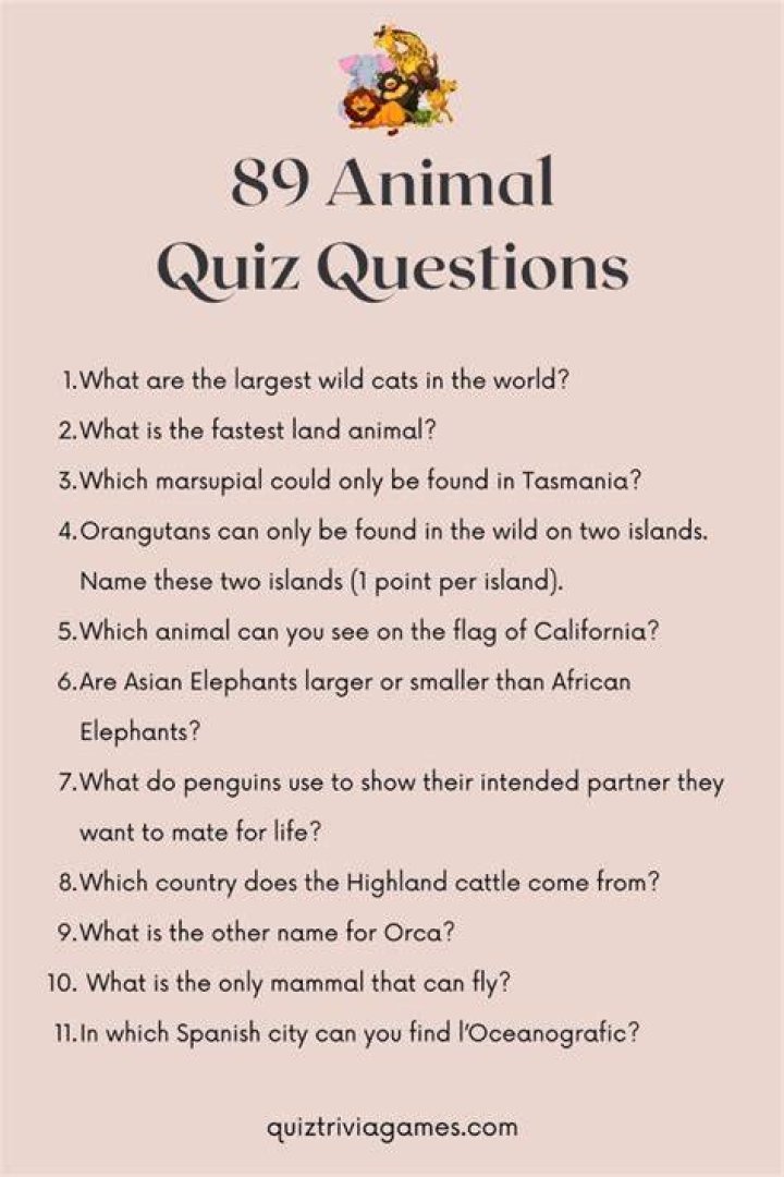 What are some animal questions?