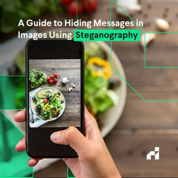 What are some examples of hidden messages in steganography?