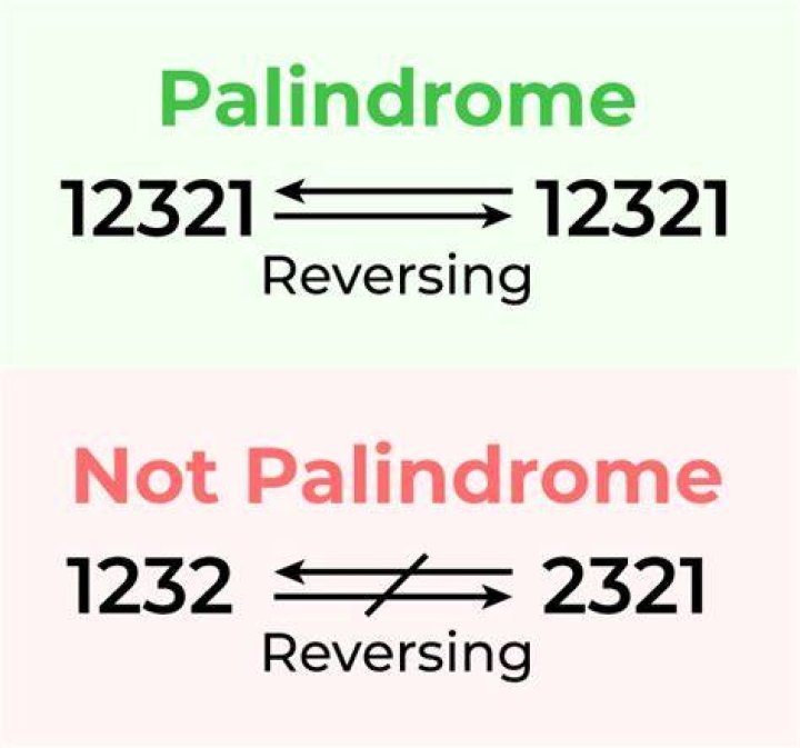What are the 3 digit palindromes?