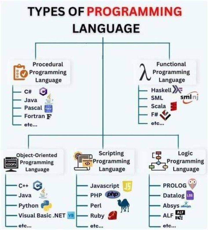 What are the 4 types of coding?