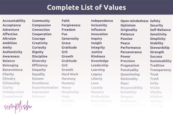 What are the 5 main values?