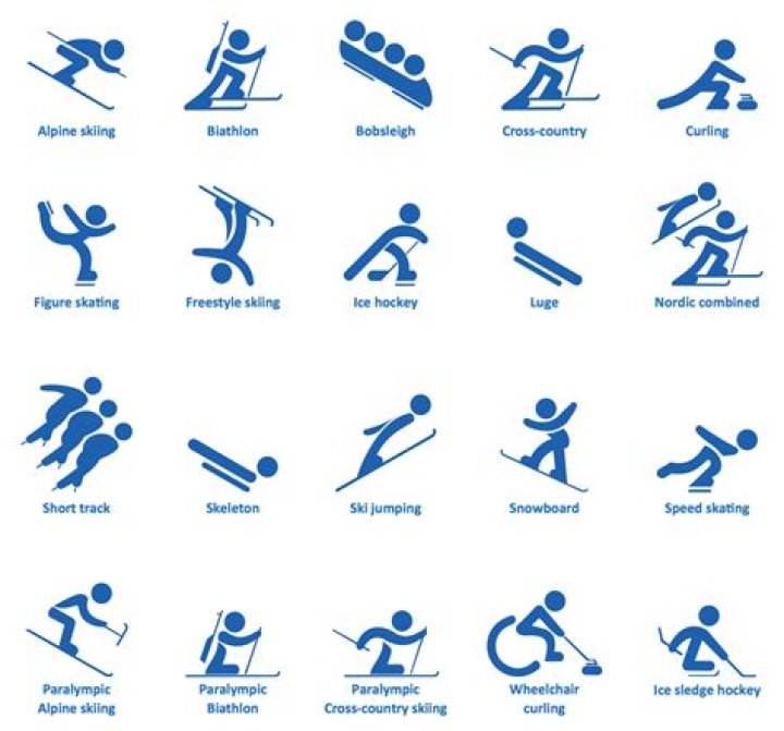 What are the different sports in the Winter Olympics?