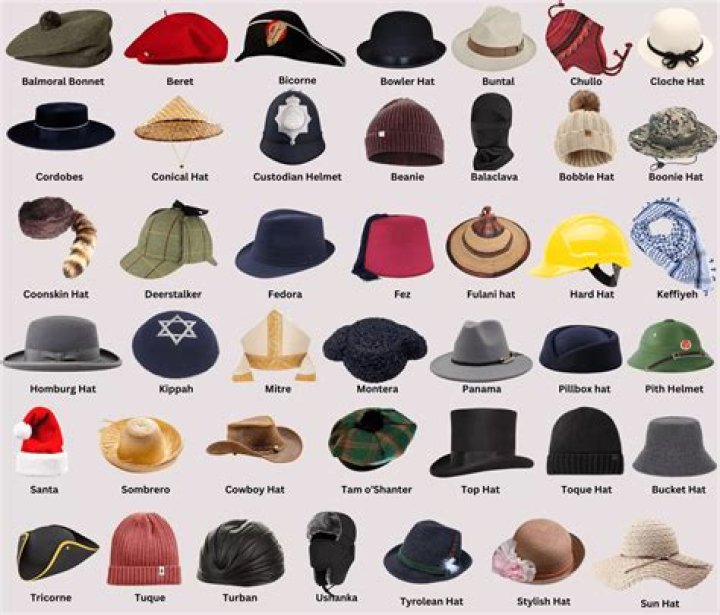 What are the different types of etiquette?