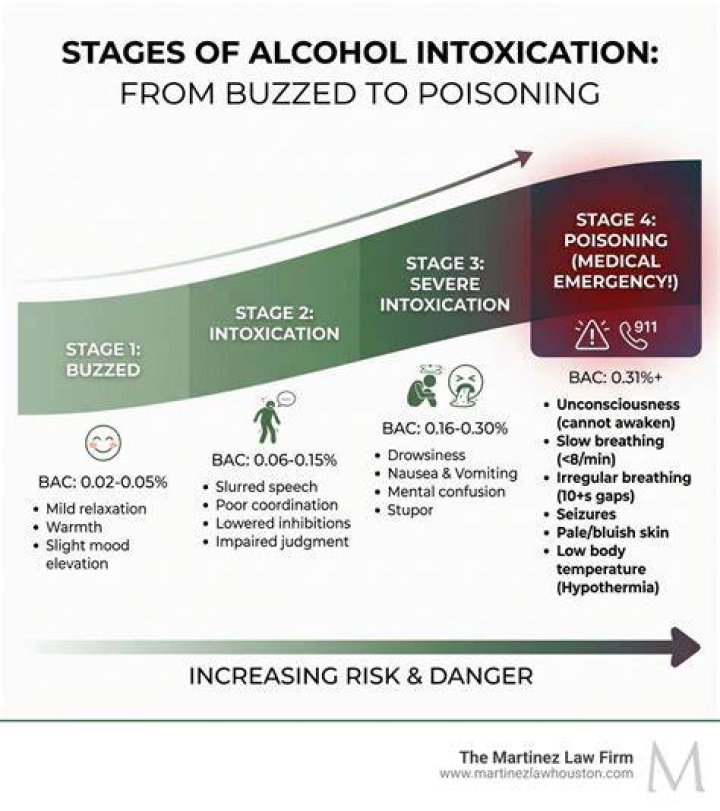 What are the seven 7 stages of intoxication?
