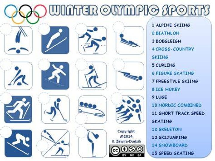 What are the sports in the Winter Olympics?