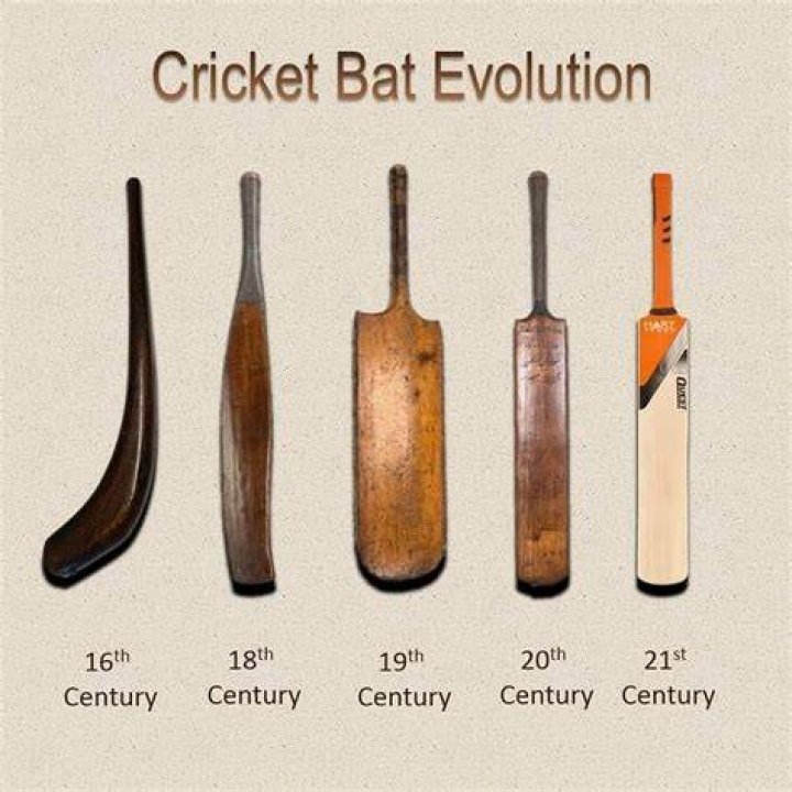 What are the terms in cricket?