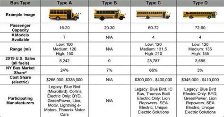 What are the types of buses?
