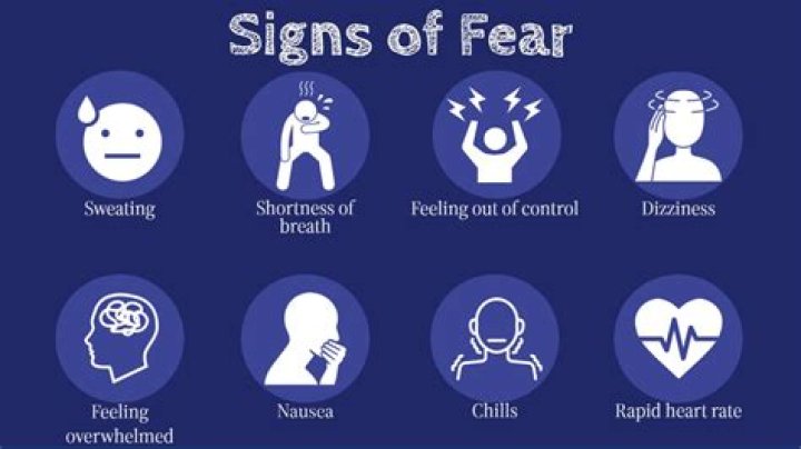 What are three things you are afraid of?