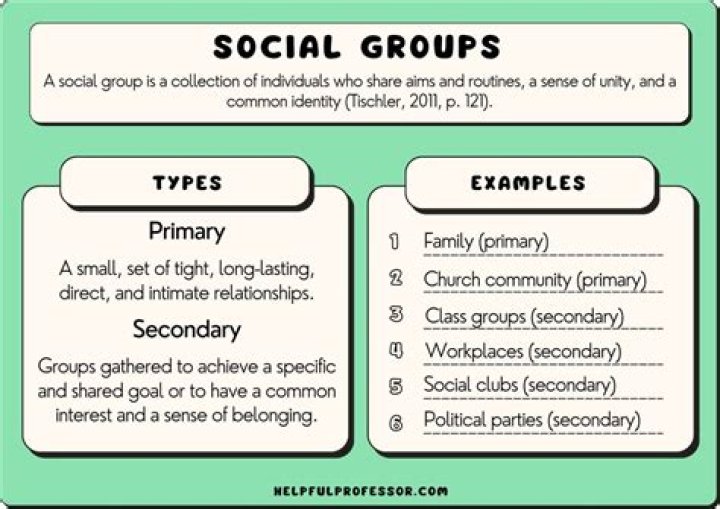 What are user groups examples?
