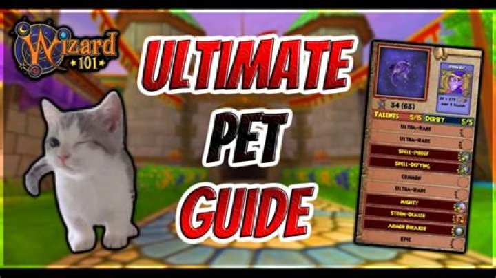 What can a Wizard101 pet do for You?