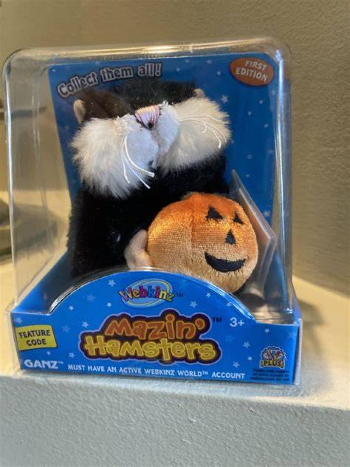 What can you do with a Mazin hamster?