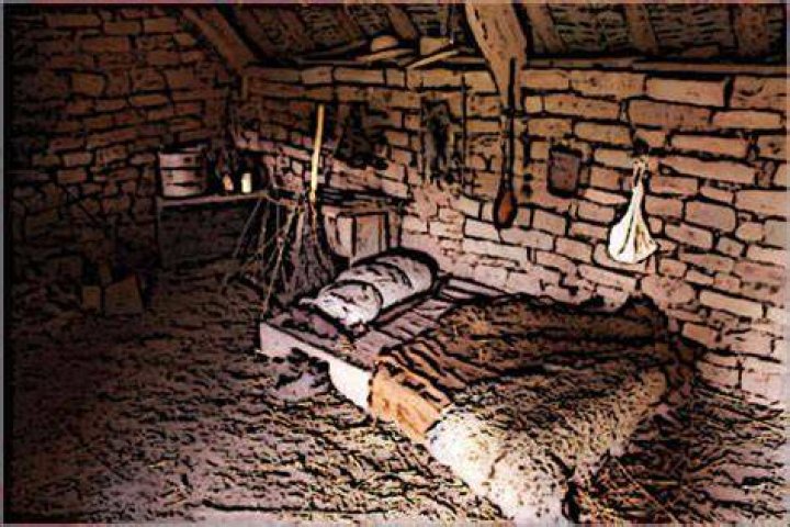 What did serfs sleep on?