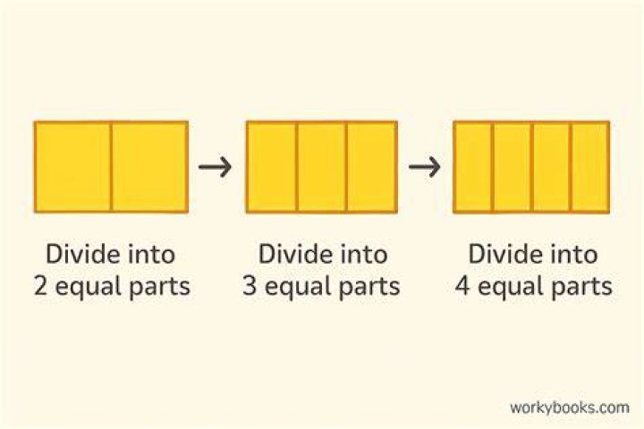 What divides a figure into two equal parts?