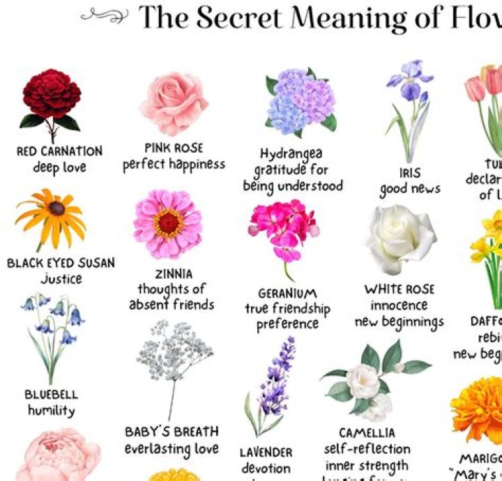 What do plants symbolize?