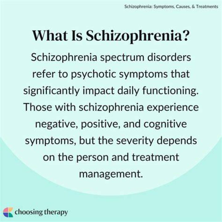 What do schizophrenic mean?