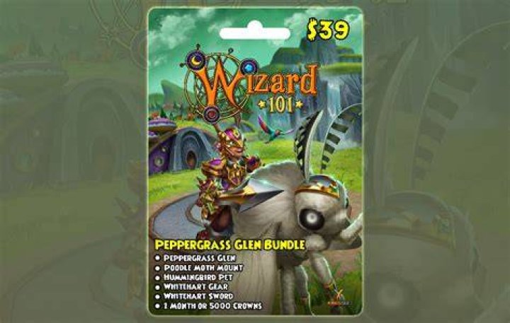 What do you get with a Wizard101 bundle?