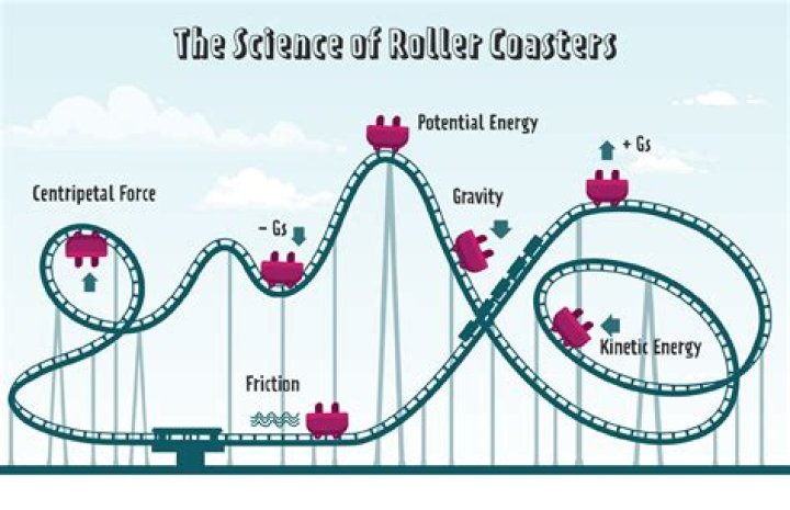 What do you need to know about roller coasters?