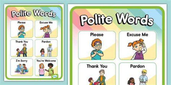 What do you want in a polite way?