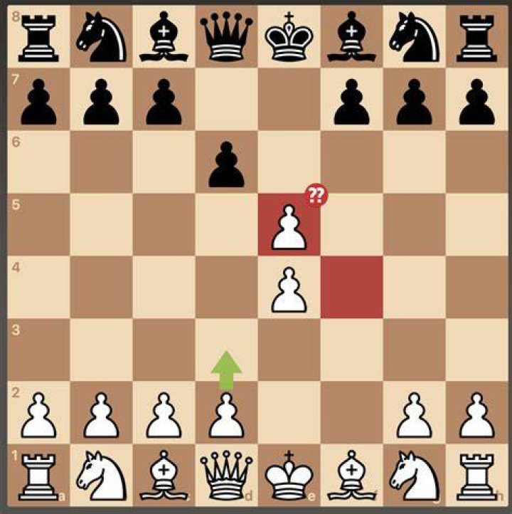 What does a blunder mean in chess?