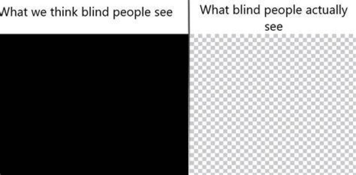 What does a completely blind person see?