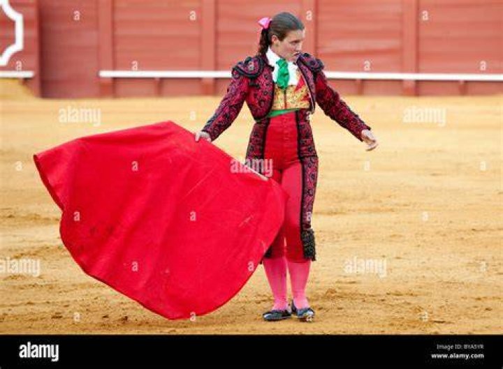 What does a torero do?